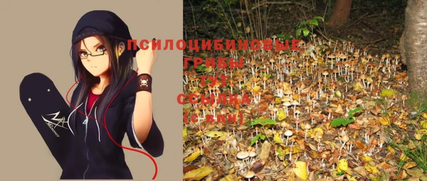 a pvp Беломорск