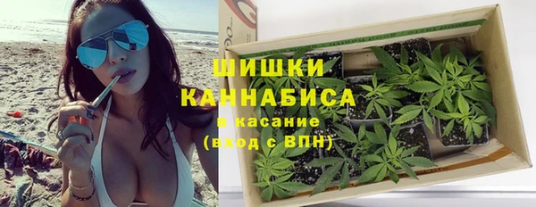 эйфоретик Белокуриха