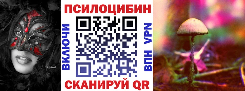 как найти закладки  Нестеров  Галлюциногенные грибы Cubensis 